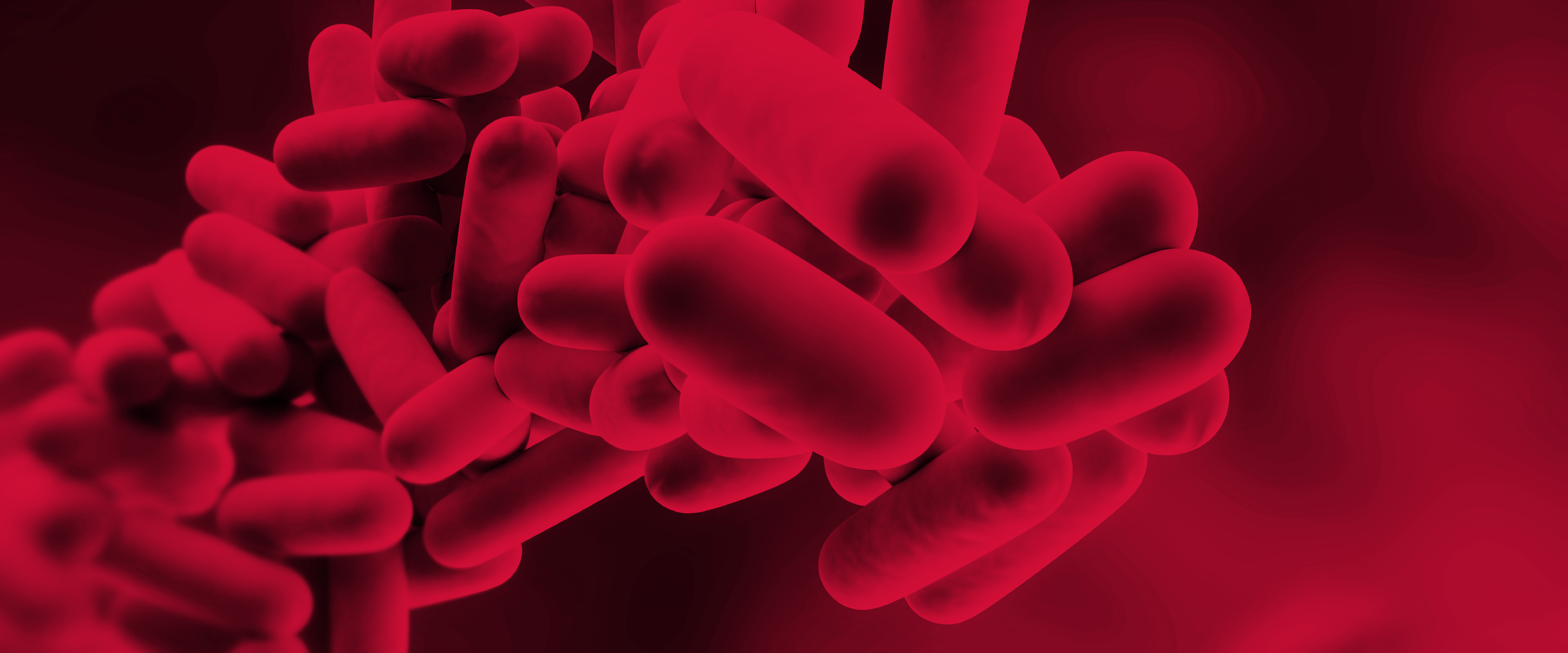 bacteria_Invitek talk foodborne pathogens
