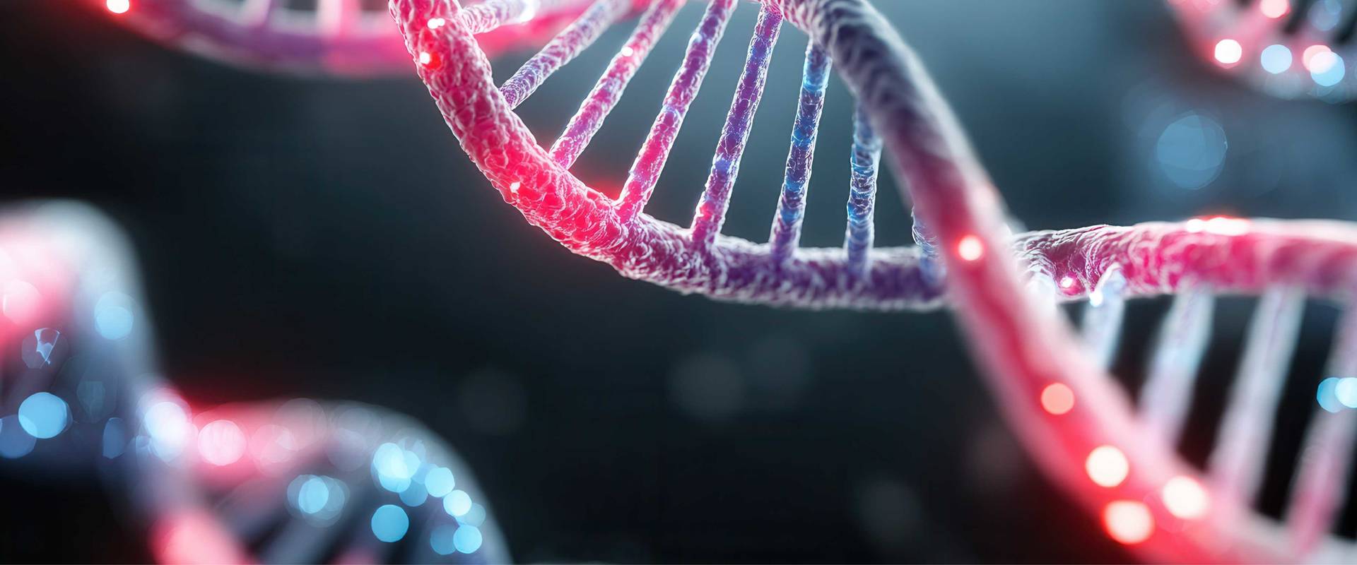 3D illustration of a DNA double helix with glowing red and blue highlights on a dark background.