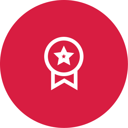 Quality Standards icon