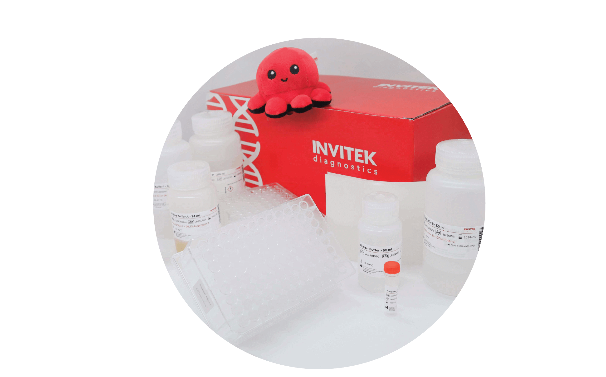 Red Invitek Diagnostics InviMag Plant DNA Mini Kit box behind reagent bottles, prefilter plate, and plastic ware.