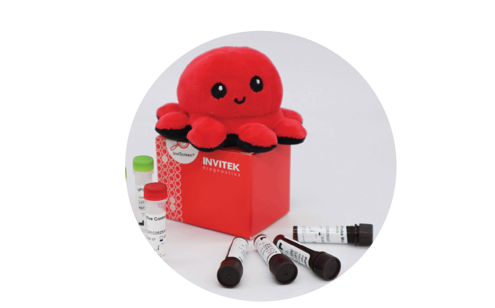 Red Invitek Diagnostics InviScreen GMO Detection Kit (35S/NOS/FMV/pat/bar) box with color-coded PCR component vials next to it and multiple tubes Primer/Probe Mix laying in front.