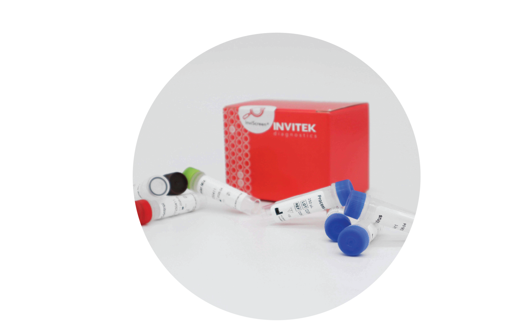 Red Invitek Diagnostics InviScreen Norovirus Detection Kit box behind blue capped extraction control vials and color-coded RT-PCR component vials in front.