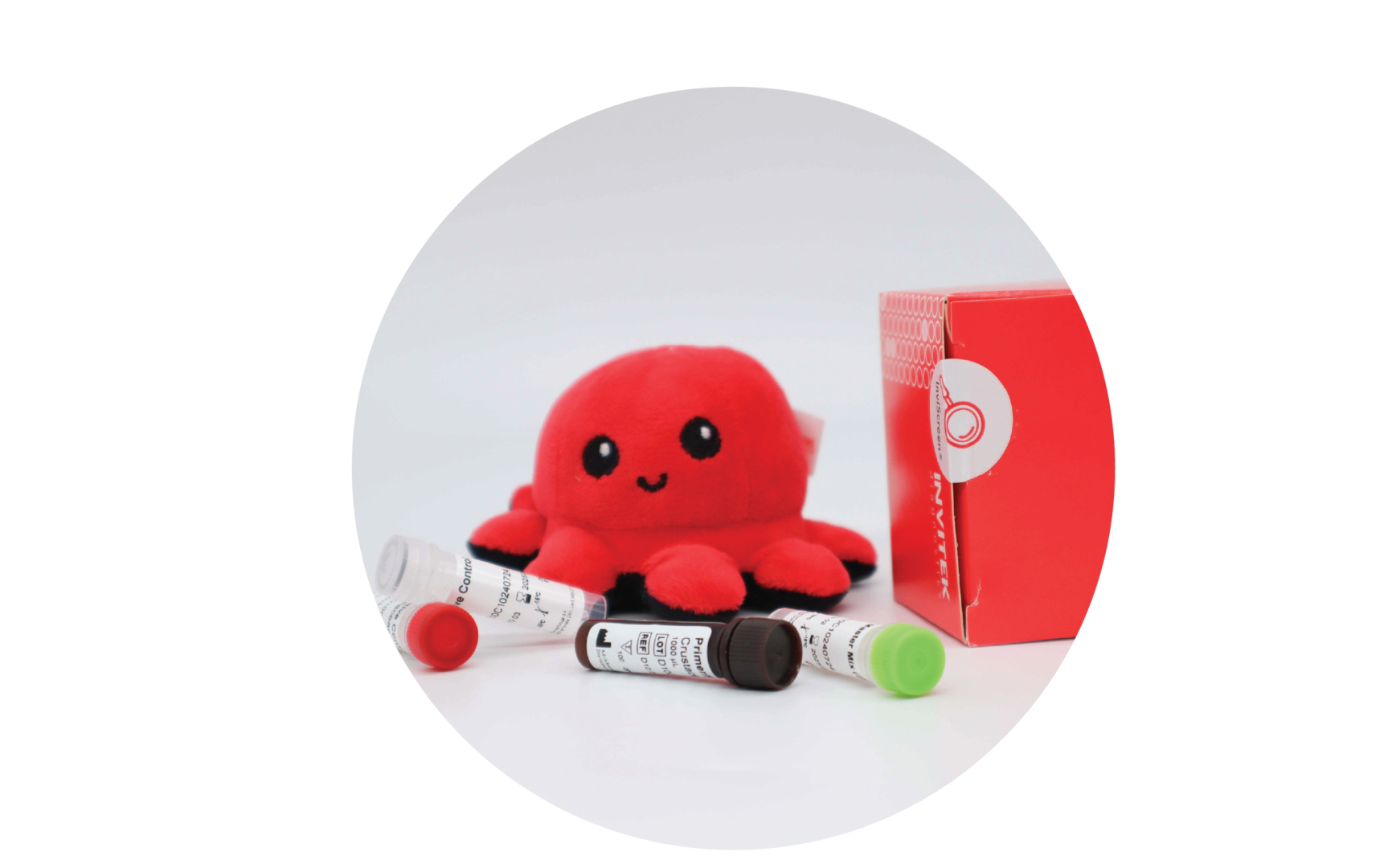 InviScreen SARS-CoV-2 surface test: Invi mascot, red diagnostics box, and five colour-capped reagent vials (red, grey, brown, green) on white surface.