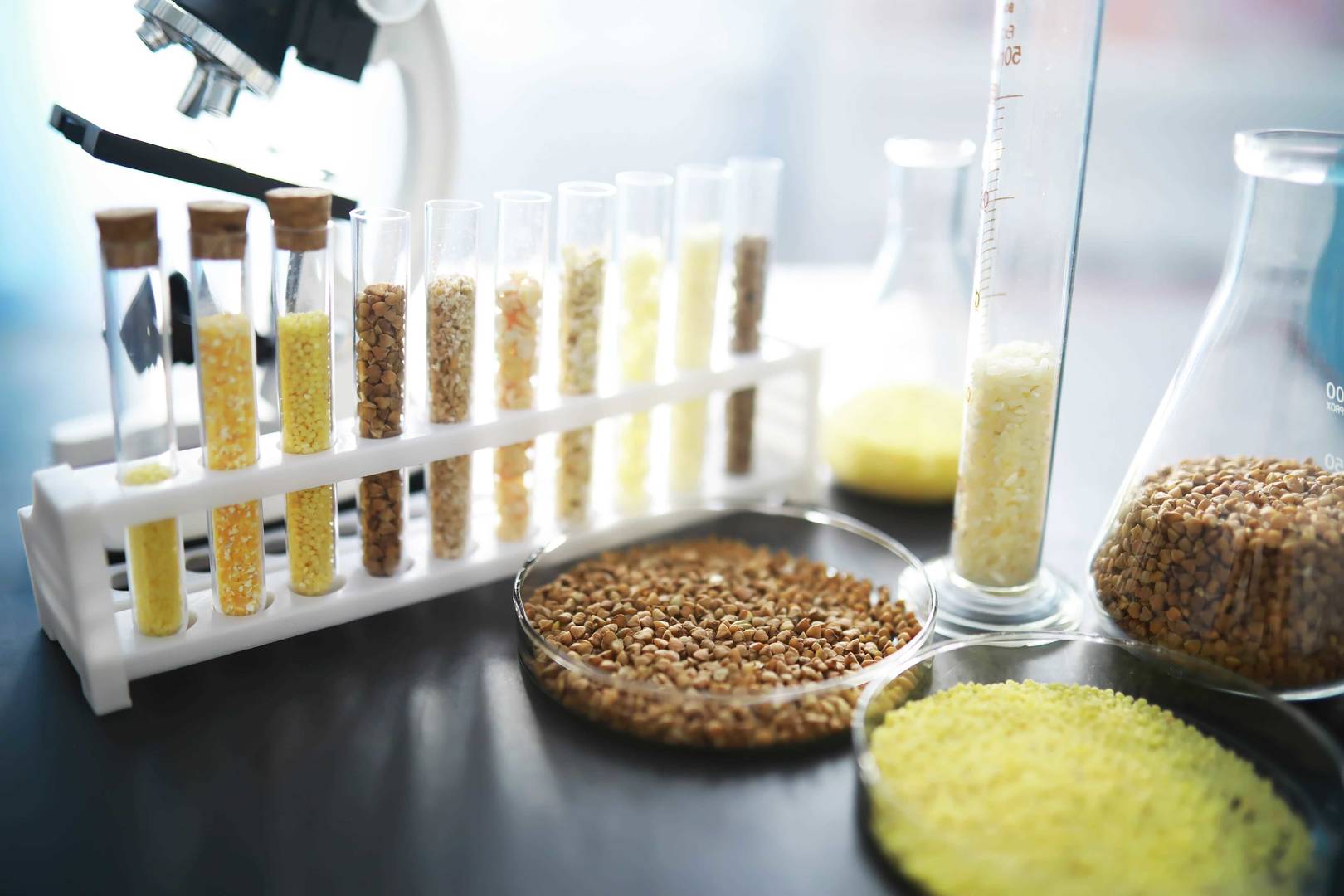 lab table with seeds in beakers