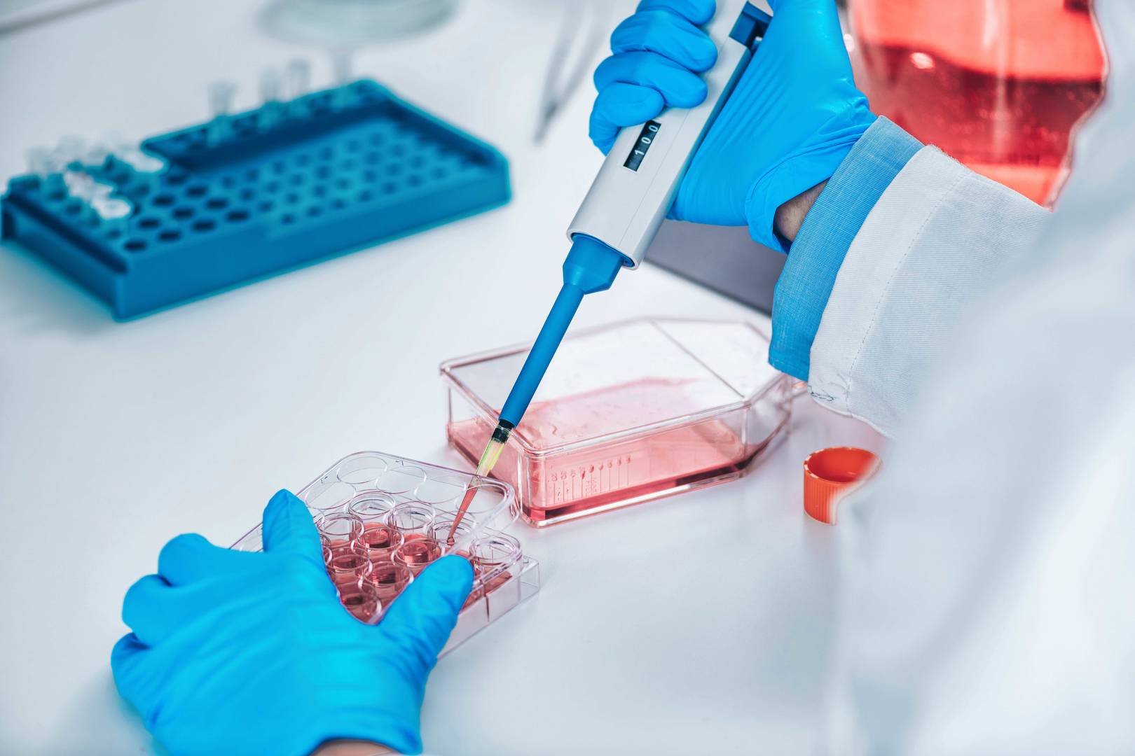 cell and tissue analysis