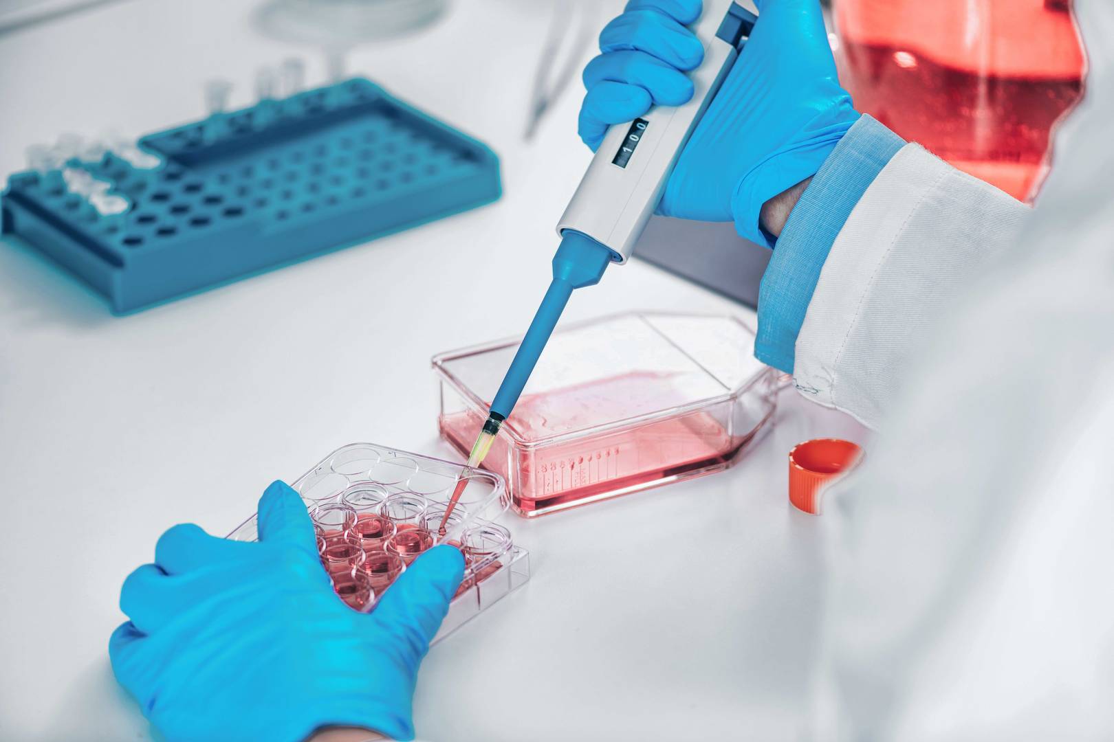 DNA/RNA isolation from cells & tissue