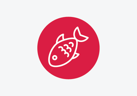 Side-profile silhouette of a fish with visible fins and tail.