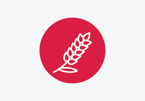 Illustration of a wheat stalk with grains, representing gluten allergen.