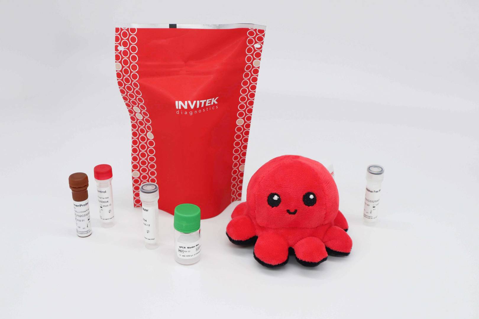 Box packaging of the InviScreen® CaMV Detection Kit with lyophilized reagents for viral DNA detection.